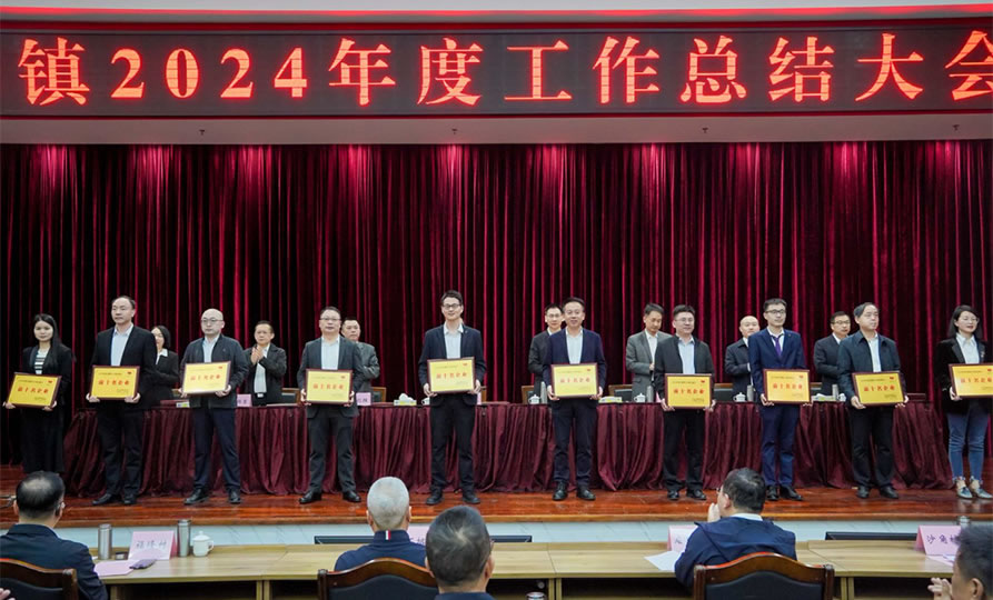 双项殊荣！佳禾电声荣登石排镇2024年度“双十强”榜单